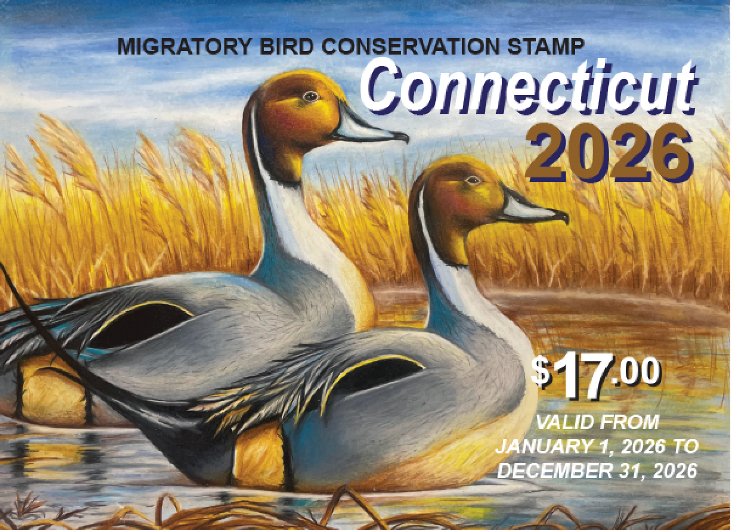 Connecticut 2026 Migratory Bird Conservation Stamp