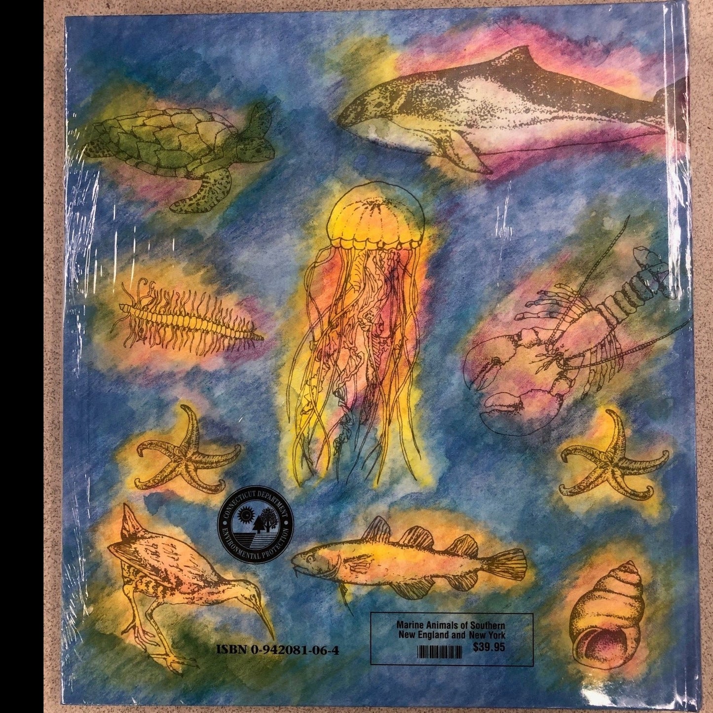 Marine Animals of Southern New England and New York