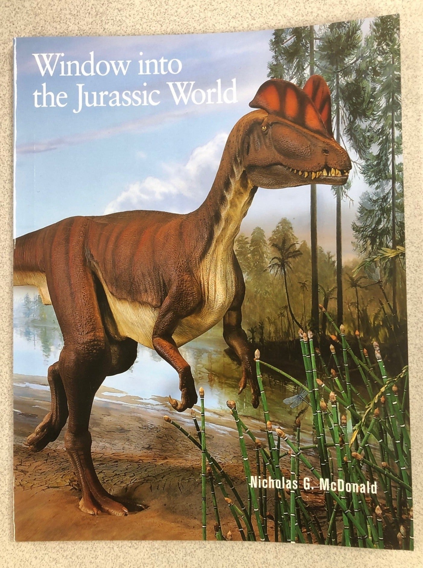 Window into the Jurassic World