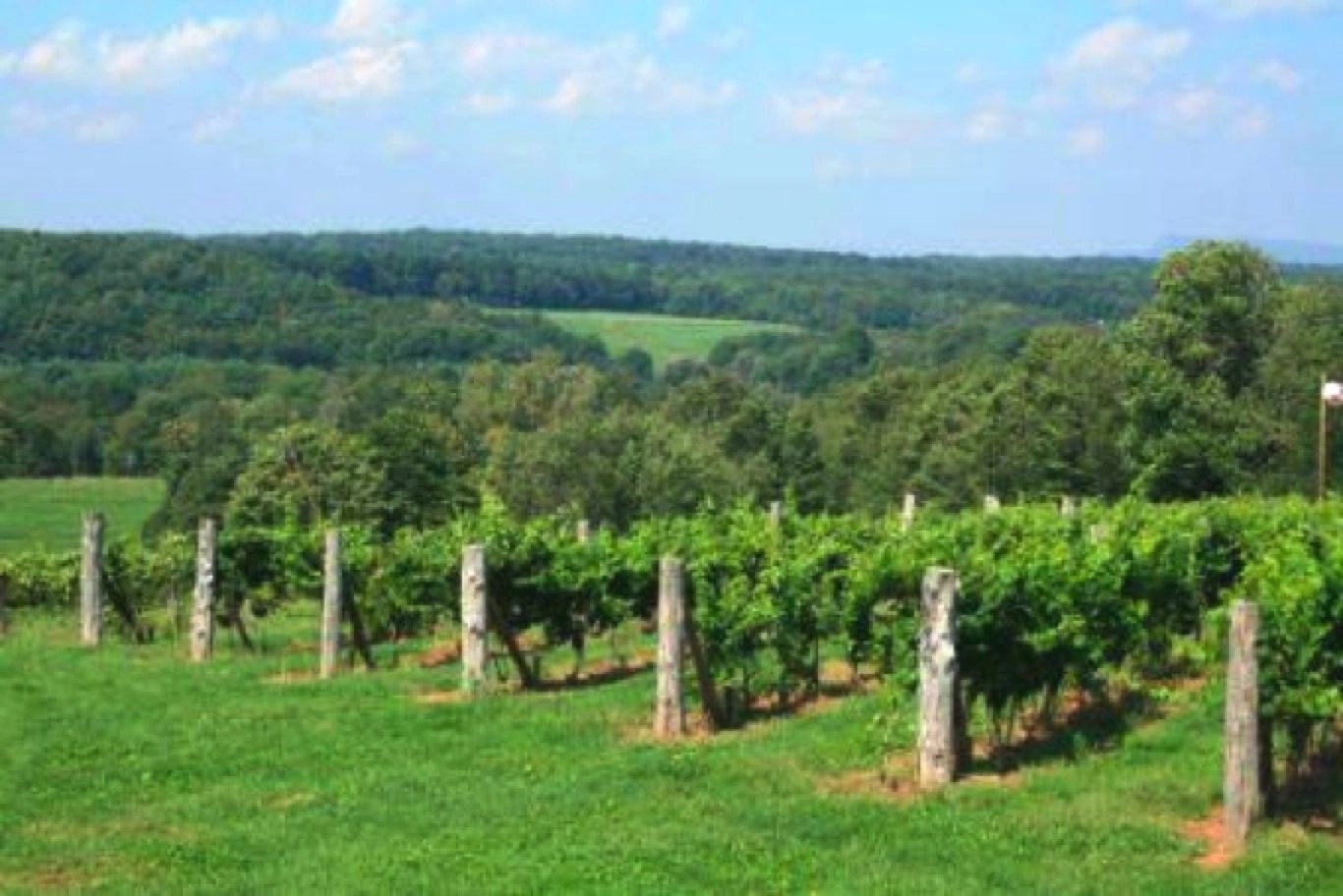 Connecticut Terroir