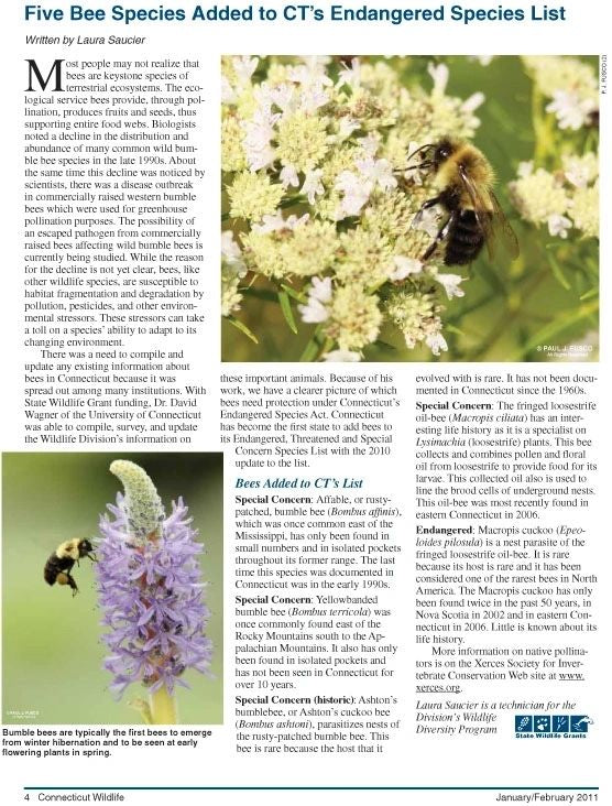Connecticut Wildlife magazine