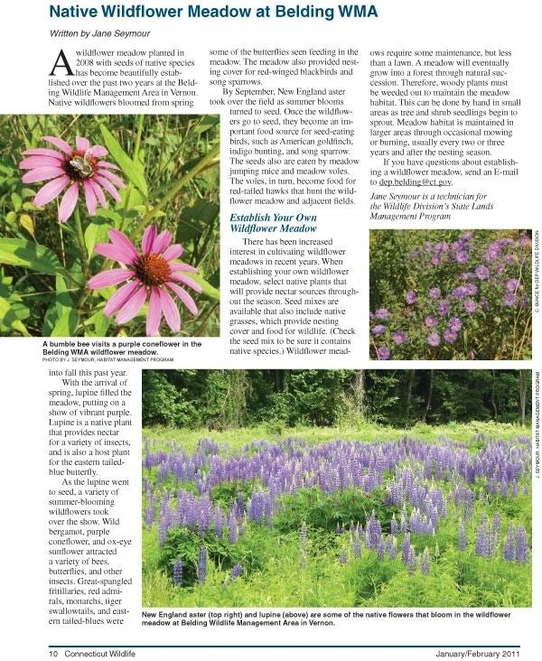 Connecticut Wildlife magazine