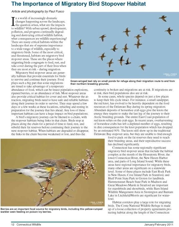 Connecticut Wildlife magazine