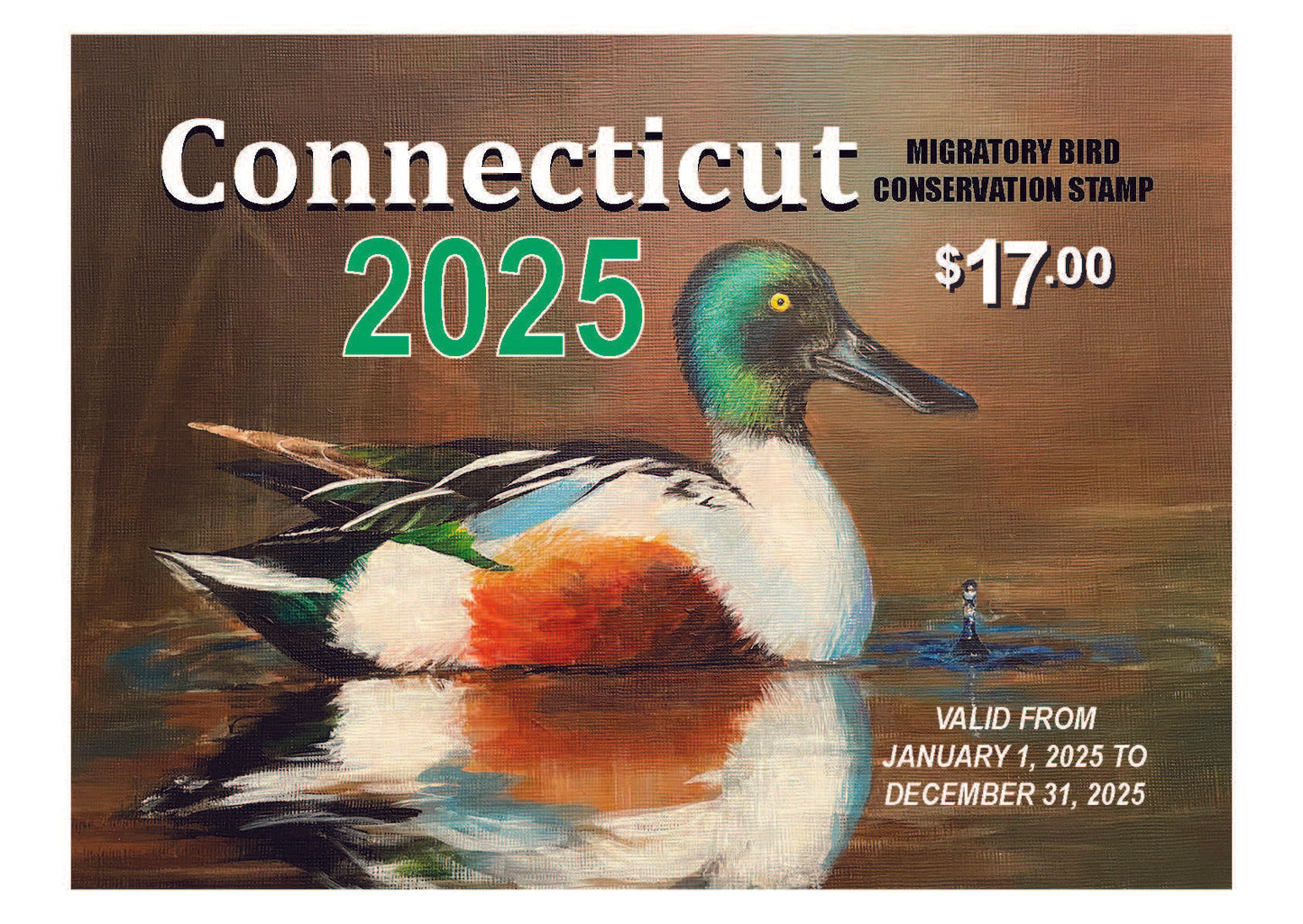 Connecticut 2025 Migratory Bird Conservation Stamp