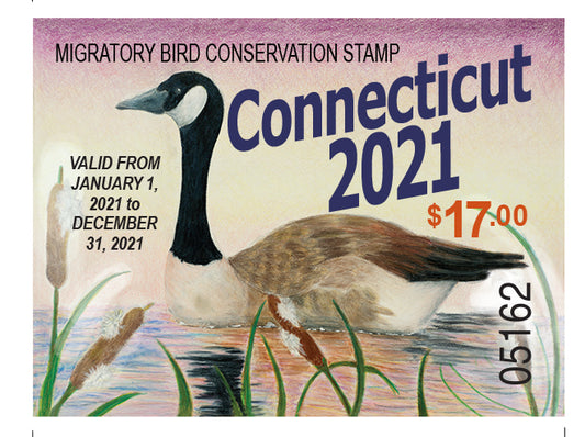 Connecticut 2021 Migratory Bird Conservation Stamp