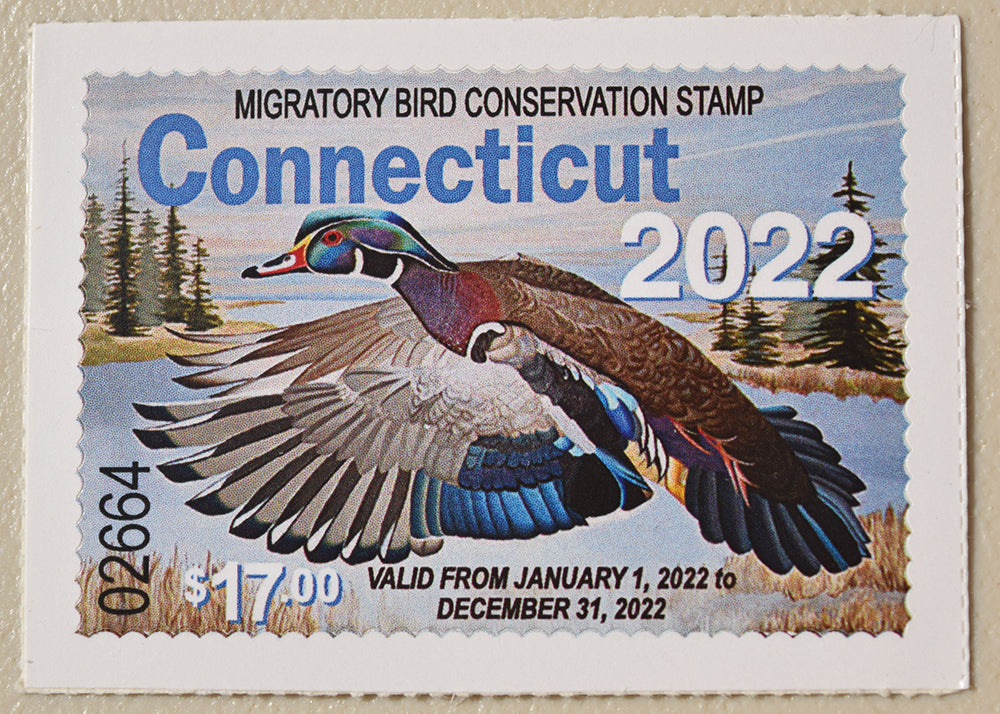 Connecticut 2022 Migratory Bird Conservation Stamp