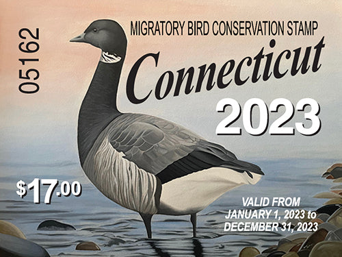 Connecticut 2023 Migratory Bird Conservation Stamp