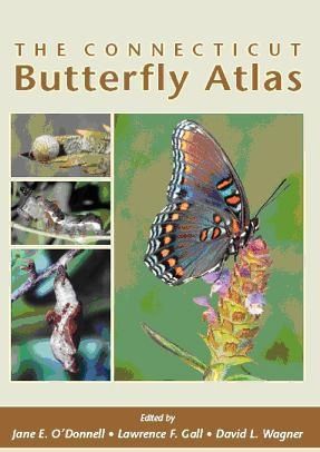 Connecticut Butterfly Atlas