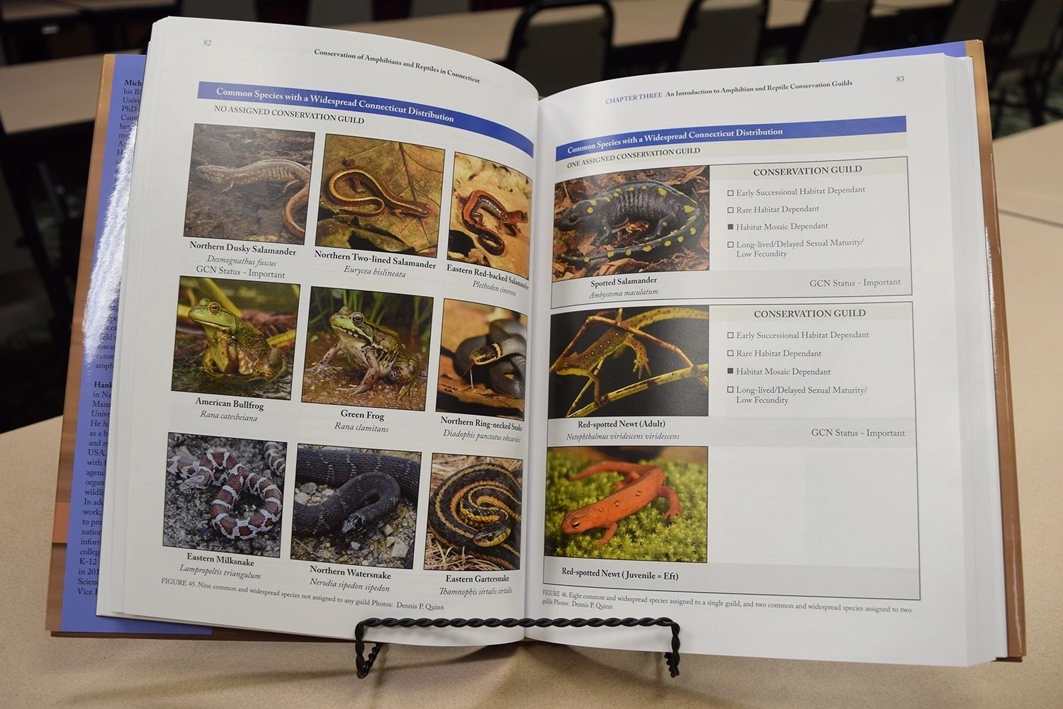 Conservation of Amphibians & Reptiles in Connecticut